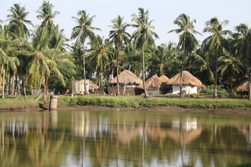Village lake huts 