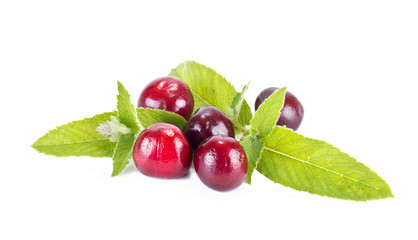 Cherry and mint leaves