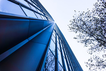 Modern glass silhouettes of skyscrapers. office buildings