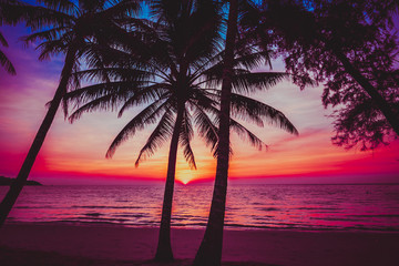 sunset tropical beach.  Beautiful sunset