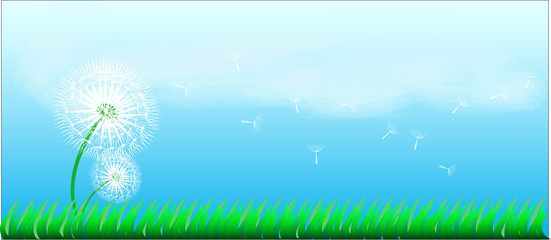 Obraz premium dendelion and grass on blue sky background,vector illustration