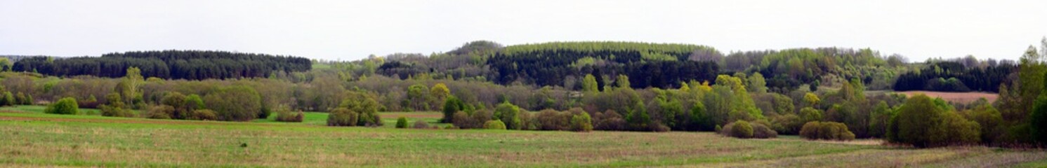 Fototapeta na wymiar Spring landscape in Anyksciai district in Lithuania