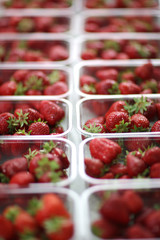 Ripe strawberries packed in plastic containers for sale