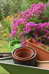 Garten 453