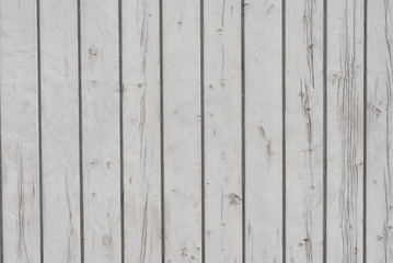 Wood background