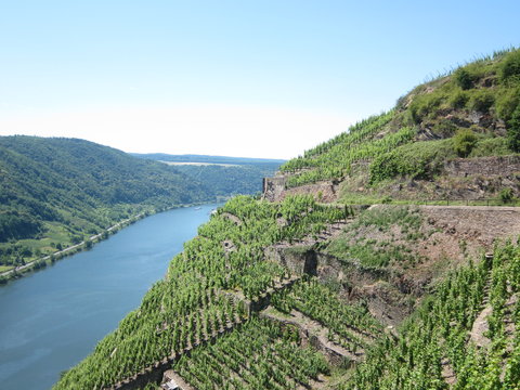 Winninger R&ouml;ttgen