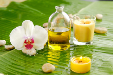 White Orchid and candle ,stone on banana leaf background