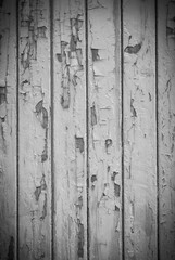 Wood background