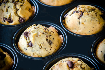 Muffins in Backblech
