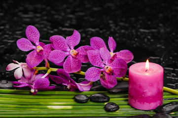 Branch orchid with long leaf and stones,candle on wet background