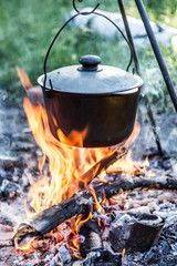 Cooking pot under the bonfire in the forest.