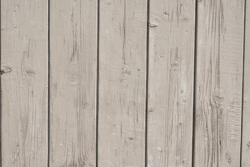 Wood background