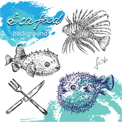 hand drawn seafood collection © Lucky Project