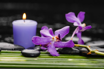 Branch orchid with long stem and stones ,candle on wet background