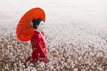 Portrait of a woman in geisha makeup standing on the field