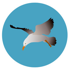 seagull 2