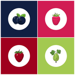 Fruit Icons, Round White Berry Icons on Colorful Background, Strawberry Icon, Gooseberry Icon , Raspberries Icon, Blueberries Icon, Vector Illustration