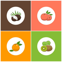 Fruit Icons, Round White Fruit Icons on Colorful Background, Grapefruit Icon, Coconut Icon , Kiwifruit Icon, Peach Icon, Vector Illustration