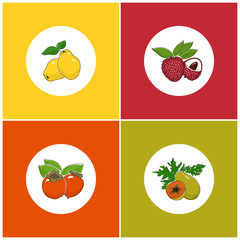 Fruit Icons, Round White Berry Icons on Colorful Background, Papaya Icon,  Lichee Icon , Persimmon Icon, Quince Icon, Vector Illustration