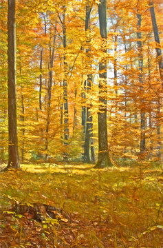 autumn forest  - illustration based on own photo image