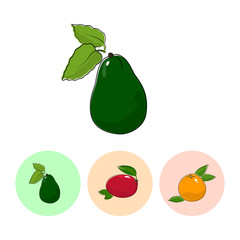 Fruit  Avocado   on White Background , Set of Three Round Colorful Icons Avocado, Mango and Grapefruit , Vector Illustration