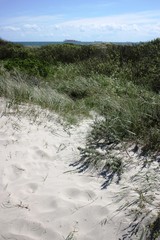 Sandy beach and coastline of Skagen under blue sky, the northernmost point of Denmark