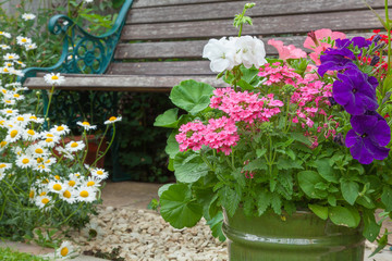 Fototapeta na wymiar Cottage garden with bench and containers full of flowers