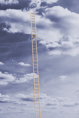 Obraz premium Unbroken extension ladder