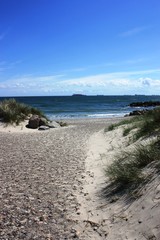 Sandy beach and coastline of Skagen under blue sky, the northernmost point of Denmark