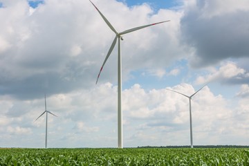 Beautiful rural landscape with windmills