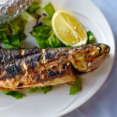 Fried fish