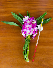 Orchid flowers for Buddha