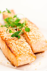Grilled salmon on white plate closeup