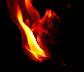 splash of yellow flame