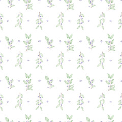 Seamless pattern of blueberries painted in watercolor on a white background