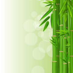 Fototapeta na wymiar Colorful Stems and Bamboo Leaves Background. Vector Illustration