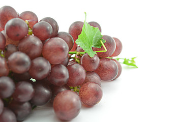 Grape seedless on wooden board