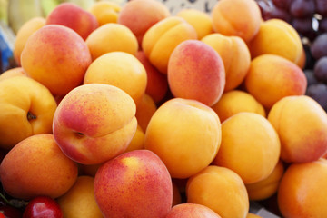 Organic apricots displayed at the market/Fresh juicy colorful fruit at the supermarket.