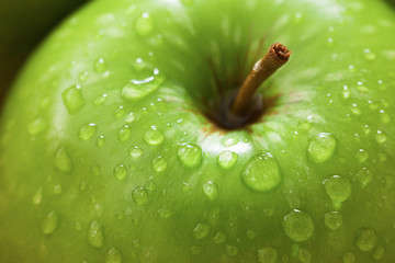 fresh green apples with water drop close up