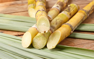 Sugar cane on wood background.