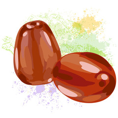 Jujube
