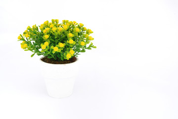Yellow flower decoration