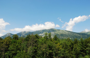 Scenery Near Kobarid