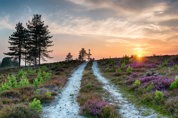 Sunset at Stoborough Heath