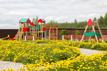 children playground among blossoming dandelions