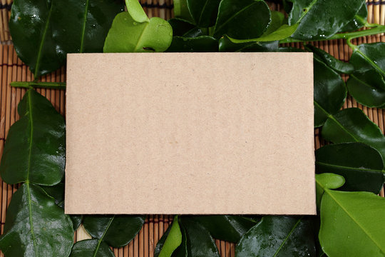 empty recipe brown paper texture  with variety fresh haelthy her