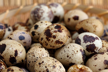 quail eggs on white background