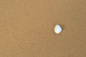 Fototapeta na wymiar Nature sand background
