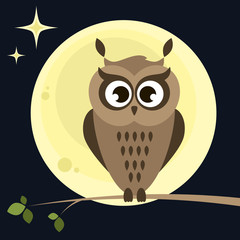 owl on the tree at night