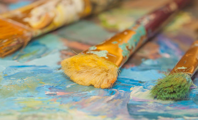 Obraz premium Paints brushes and oil paints